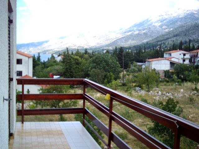 Soba 5