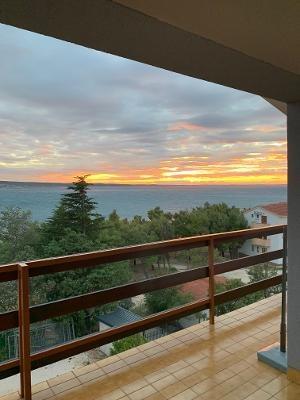 Apartman 11